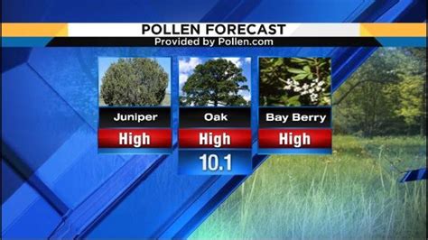 virginia pollen count|richmond va pollen count today.